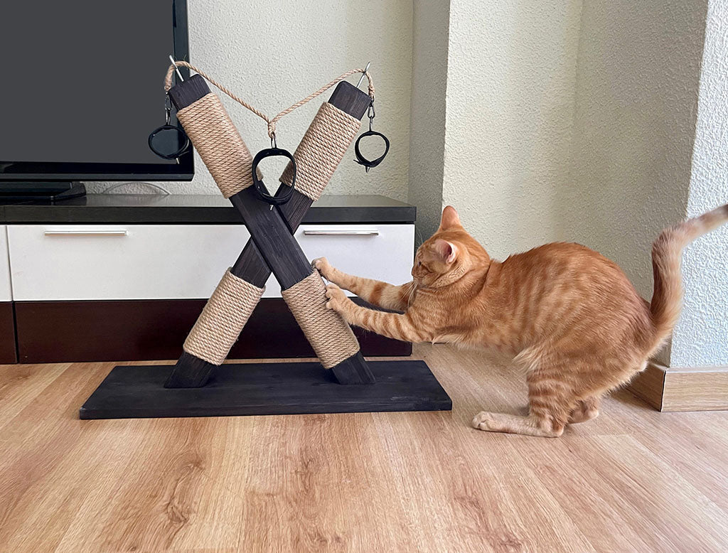 For your kitties