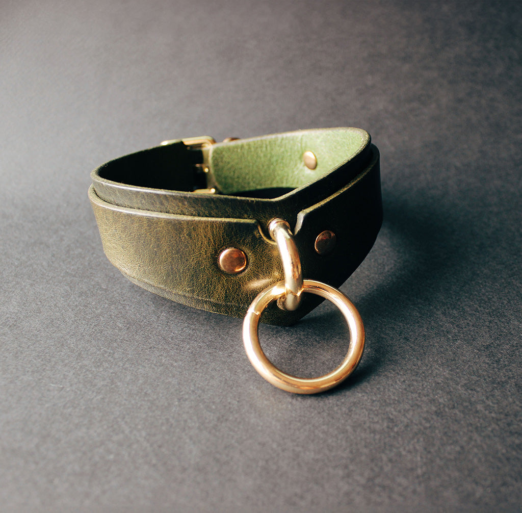 Leather Collar and Leash #2
