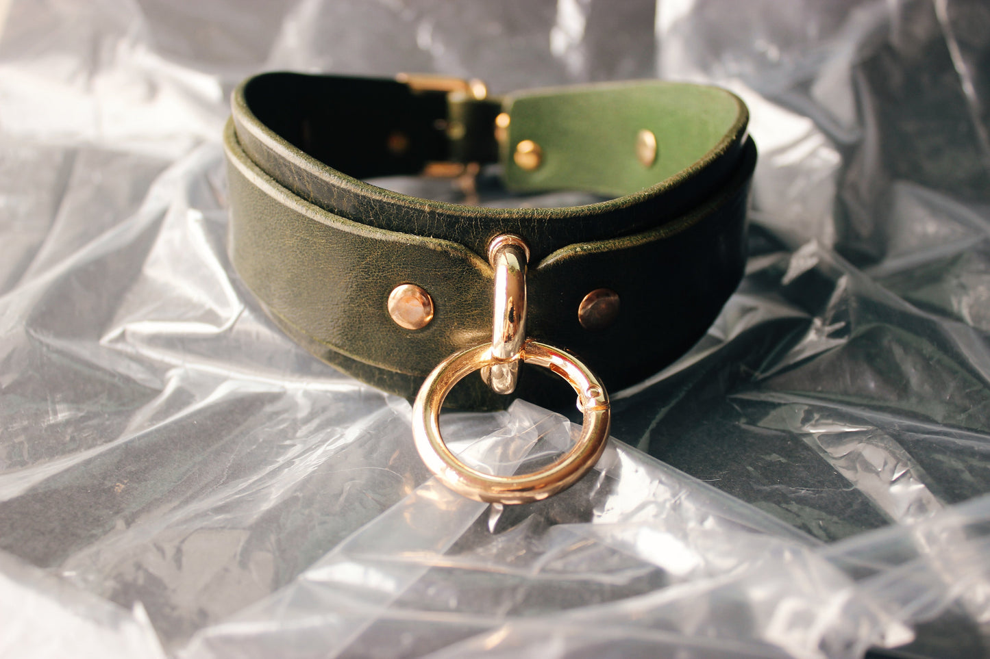 Green leather collar with gold ring on a reflective surface