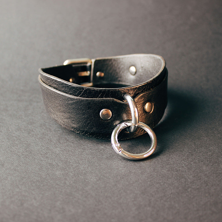 Leather Collar and Leash #1