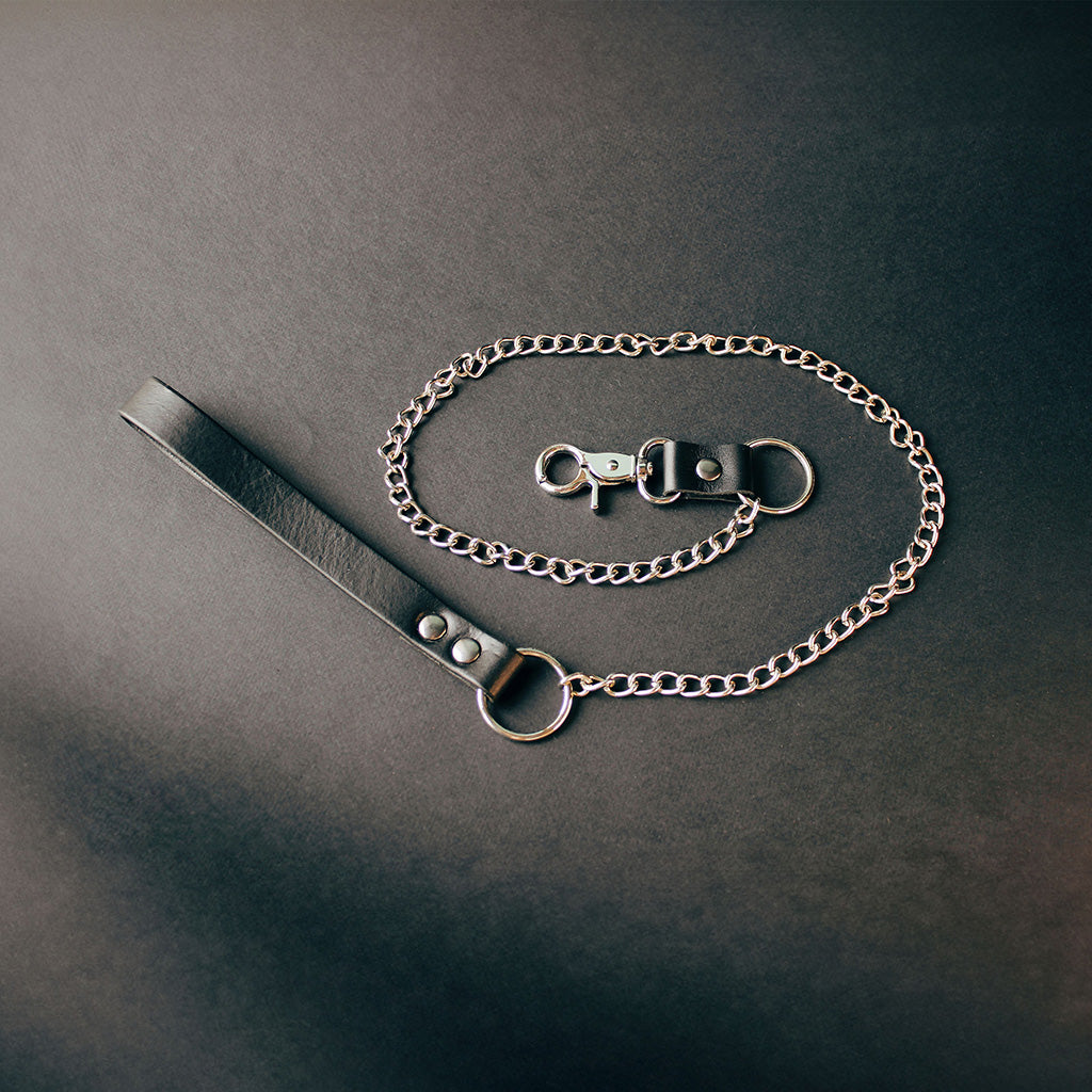 Leather Collar and Leash #1