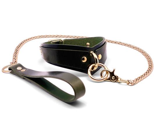 Leather Collar and Leash #2