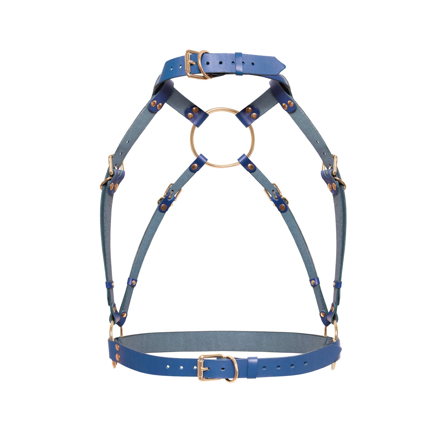 Rear view of a deep blue open bust leather harness with a wide choker, adjustable back straps, side waist rings, rear buckle strap, and gold-tone metal hardware.