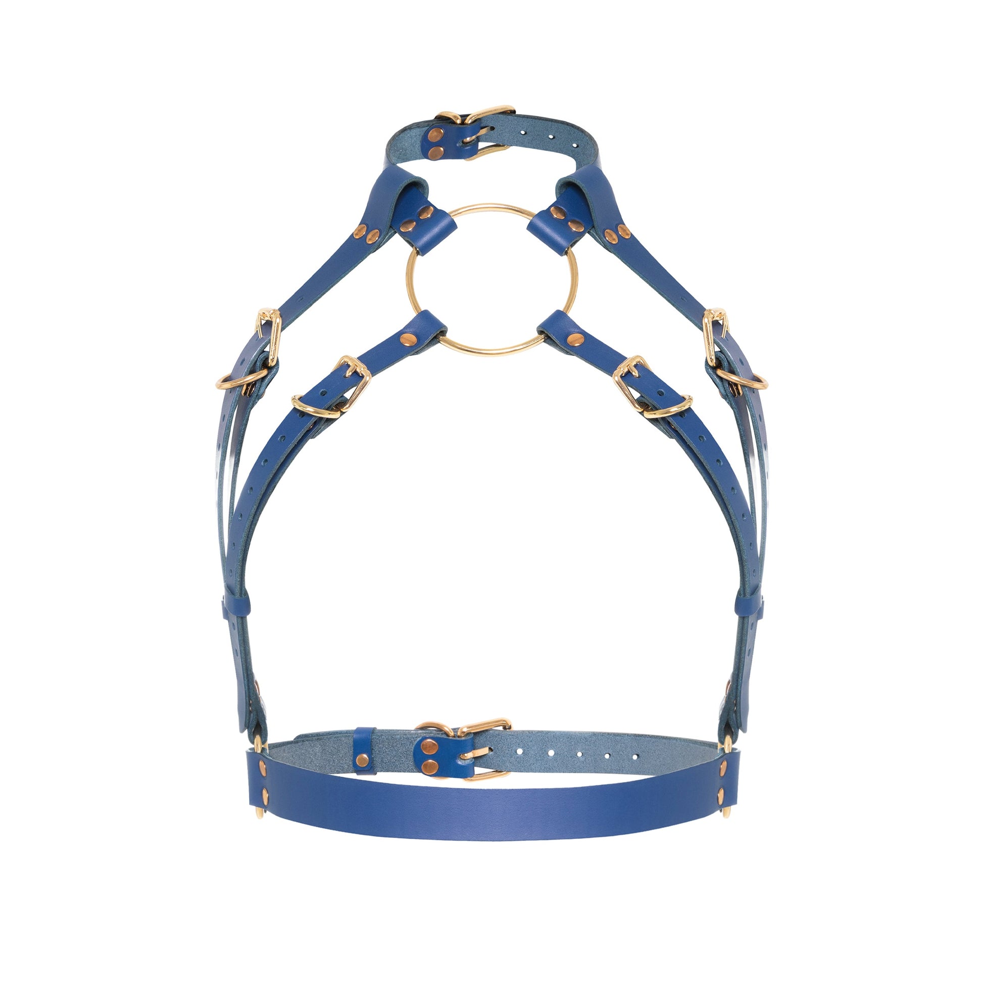 Front view of a deep blue open bust leather harness with a wide choker, large center ring, adjustable straps, front underbust belt, side waist rings, and gold-tone metal hardware.