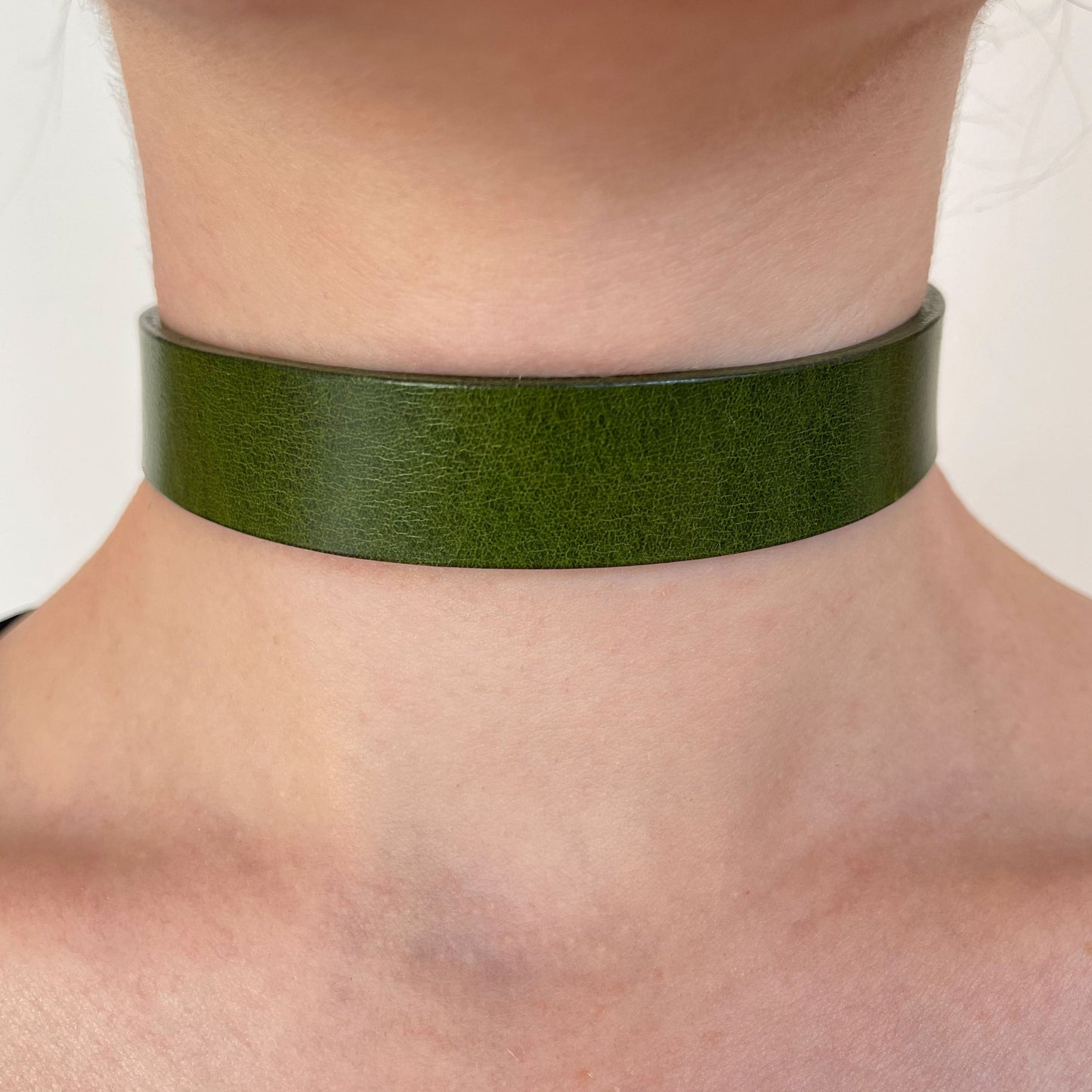 Reversible Slim Collar