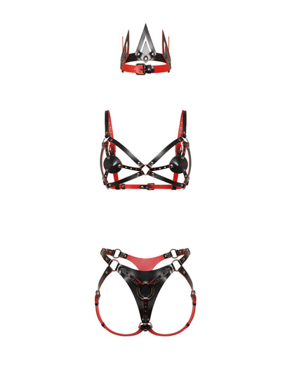 Front view of a leather three-piece set with a cone crown, contour chest harness with removable cup covers, adjustable strap-on harness, interchangeable front rings, black leather with red edges, and dark nickel hardware.