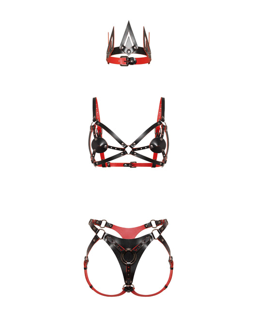 Front view of a leather three-piece set with a cone crown, contour chest harness with removable cup covers, adjustable strap-on harness, interchangeable front rings, black leather with red edges, and dark nickel hardware.