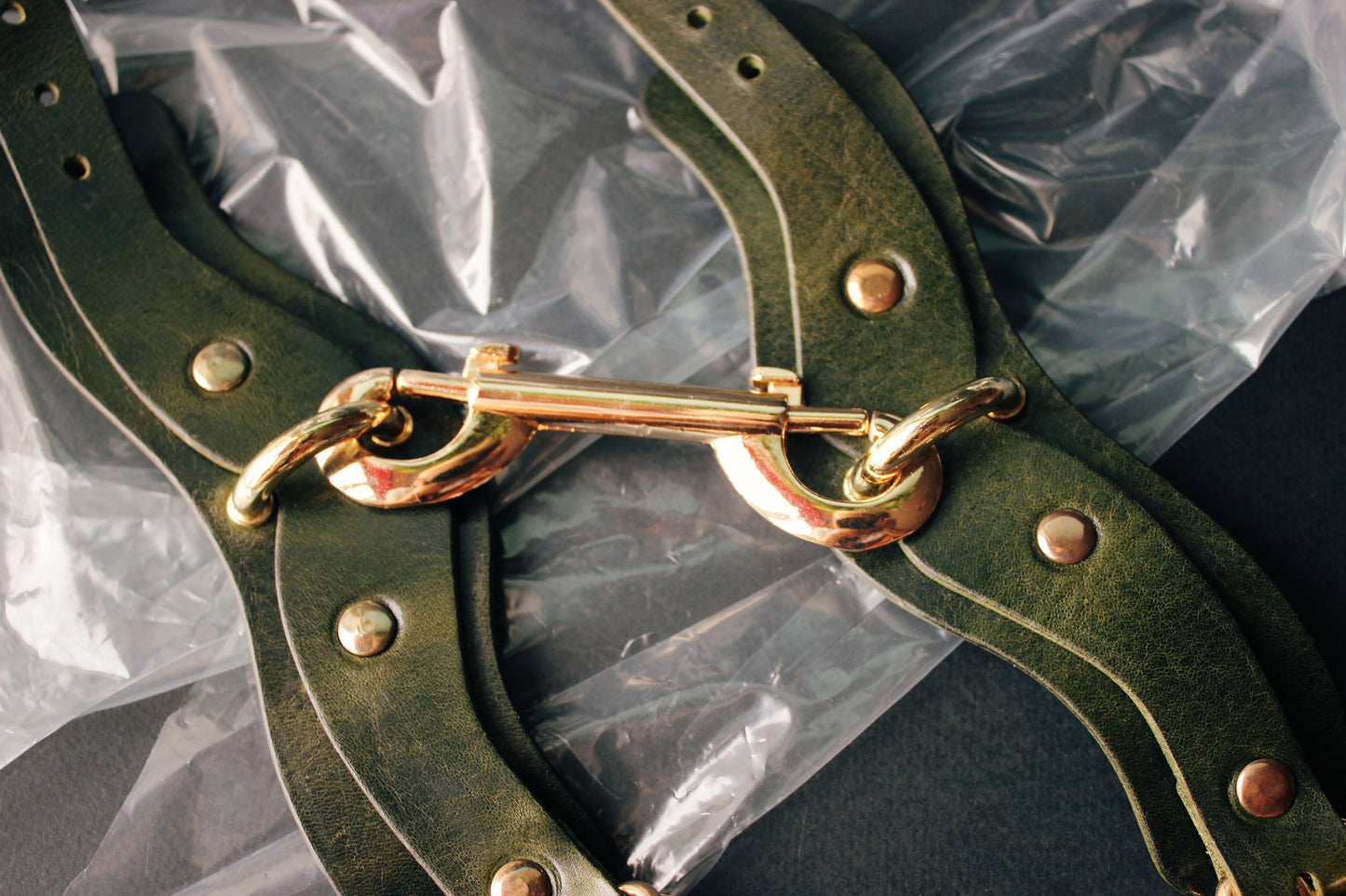 Green leather strap with gold hardware on a clear plastic background