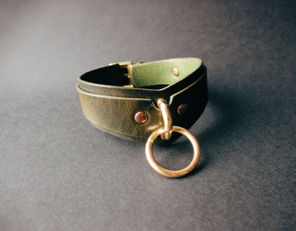 Leather collar with brass hardware on a dark gray background