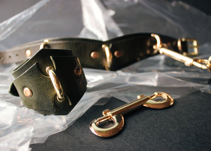 Green leather collar with gold hardware on a reflective surface