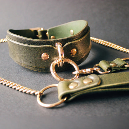 Leather Collar and Leash #1