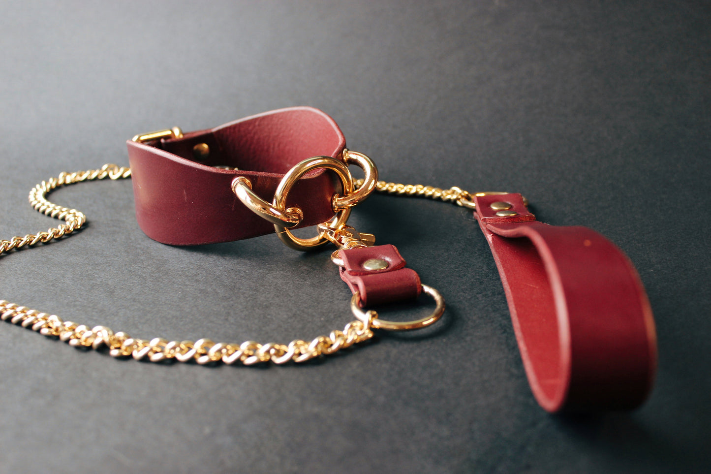 Red leather collar with gold chain on a dark background