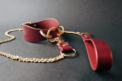 Red leather collar with gold chain on a dark background