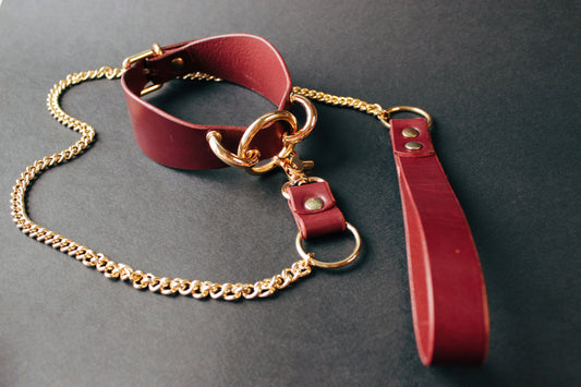 Red leather collar with gold chain on a dark background