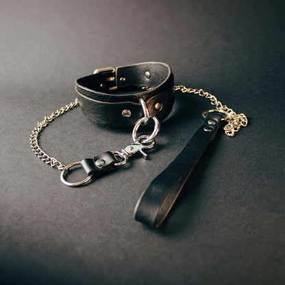 Leather Collar and Leash #1