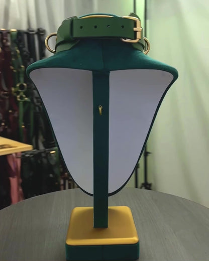 Bondage Collar with D-rings for fixation